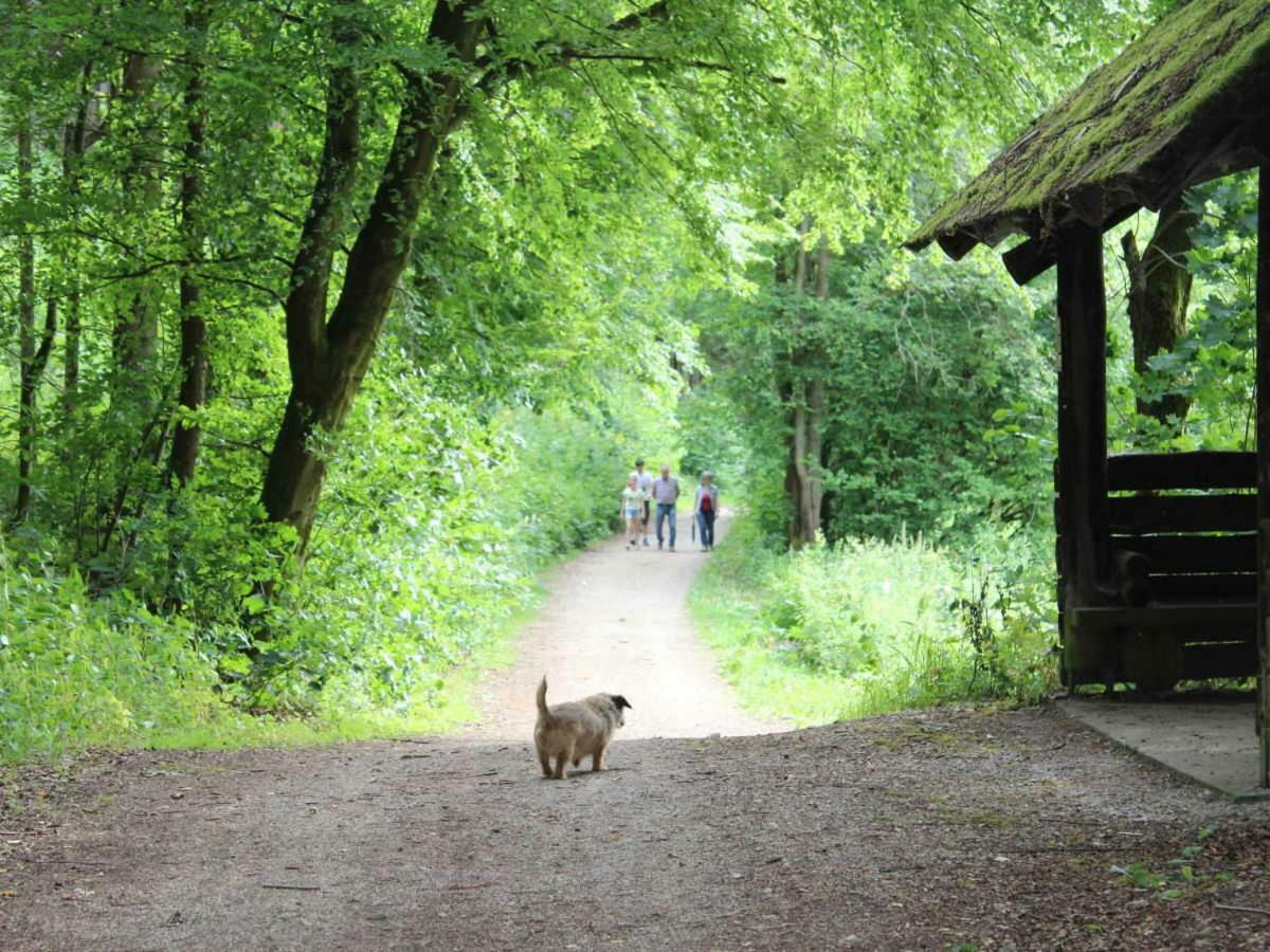 Haus Wiesenttal Waischenfeld Bagian luar foto